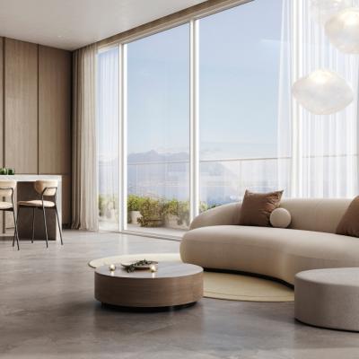 Minimalistic Modern Living Room